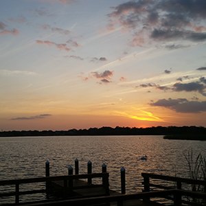 riverview search