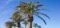 best tampa neighborhoods